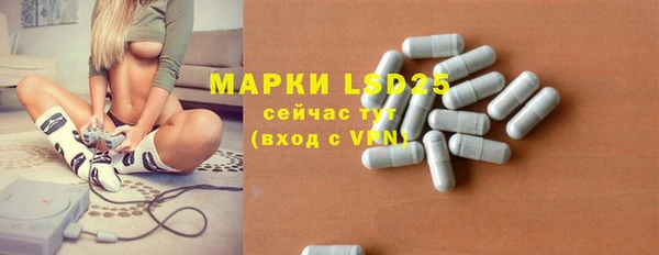 винт Алзамай