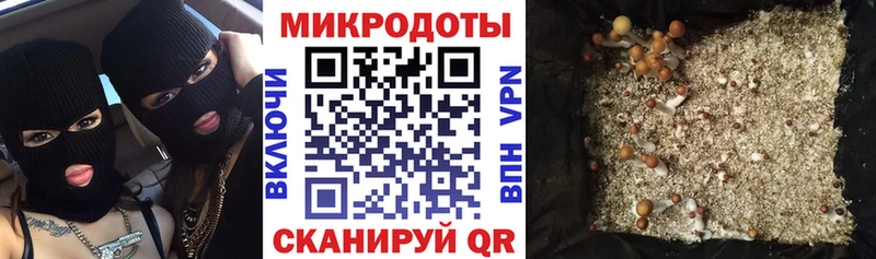 Псилоцибиновые грибы MAGIC MUSHROOMS Лаишево