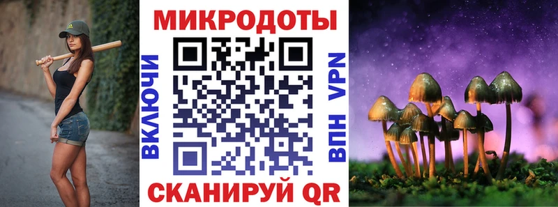 Псилоцибиновые грибы Psilocybine cubensis  Лаишево 